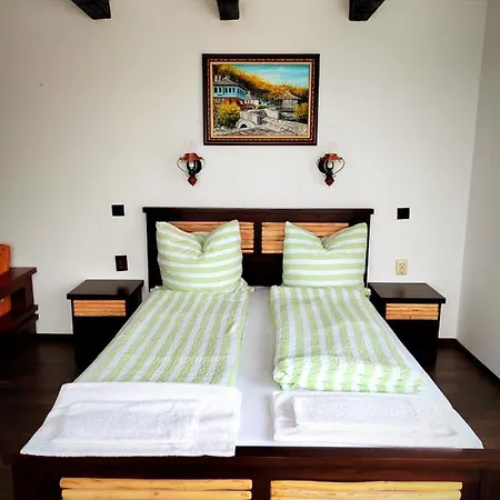 Къща За Гости Йоана Apartament Tŭzha